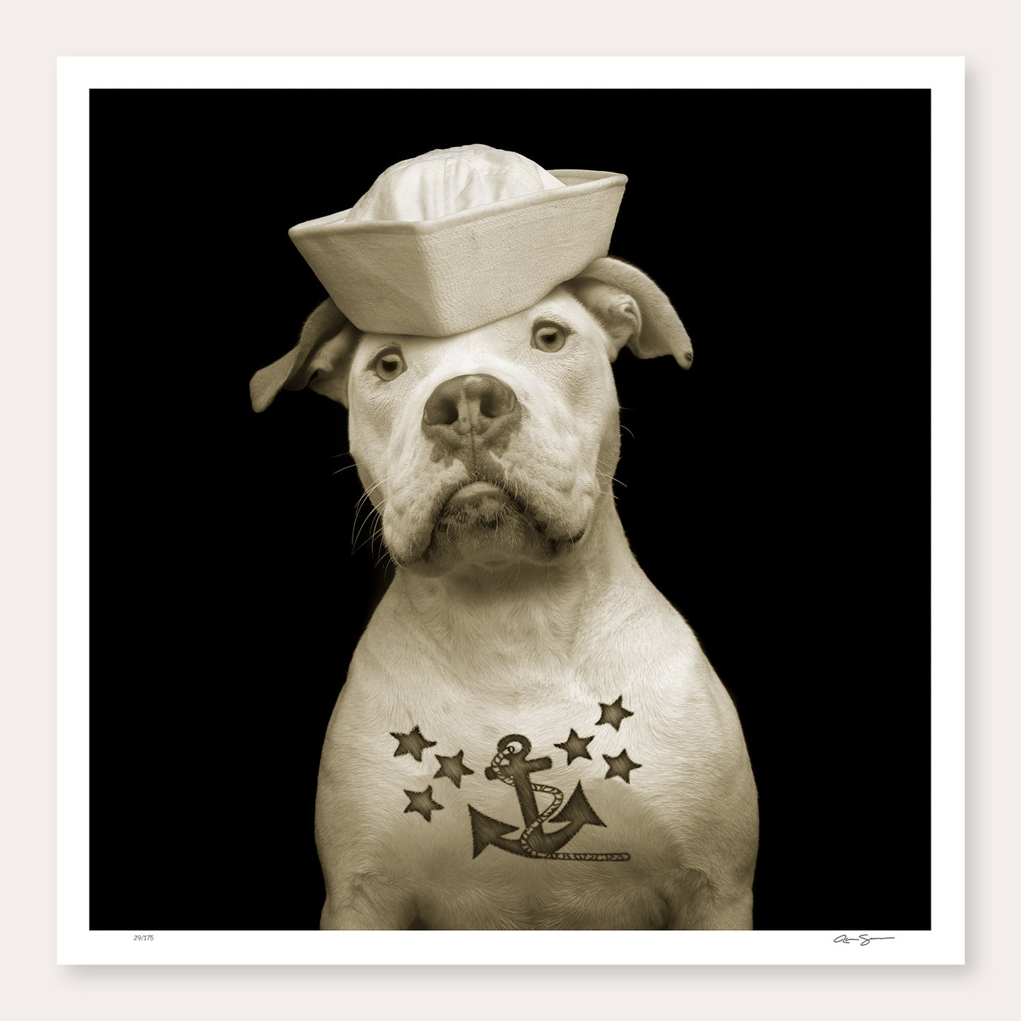 GIFT ART FOR A CAUSE x HOME BASE - SIGNED LIMITED EDITION 24x24 ART PRINT - FLUKE, THE SALTY DOG