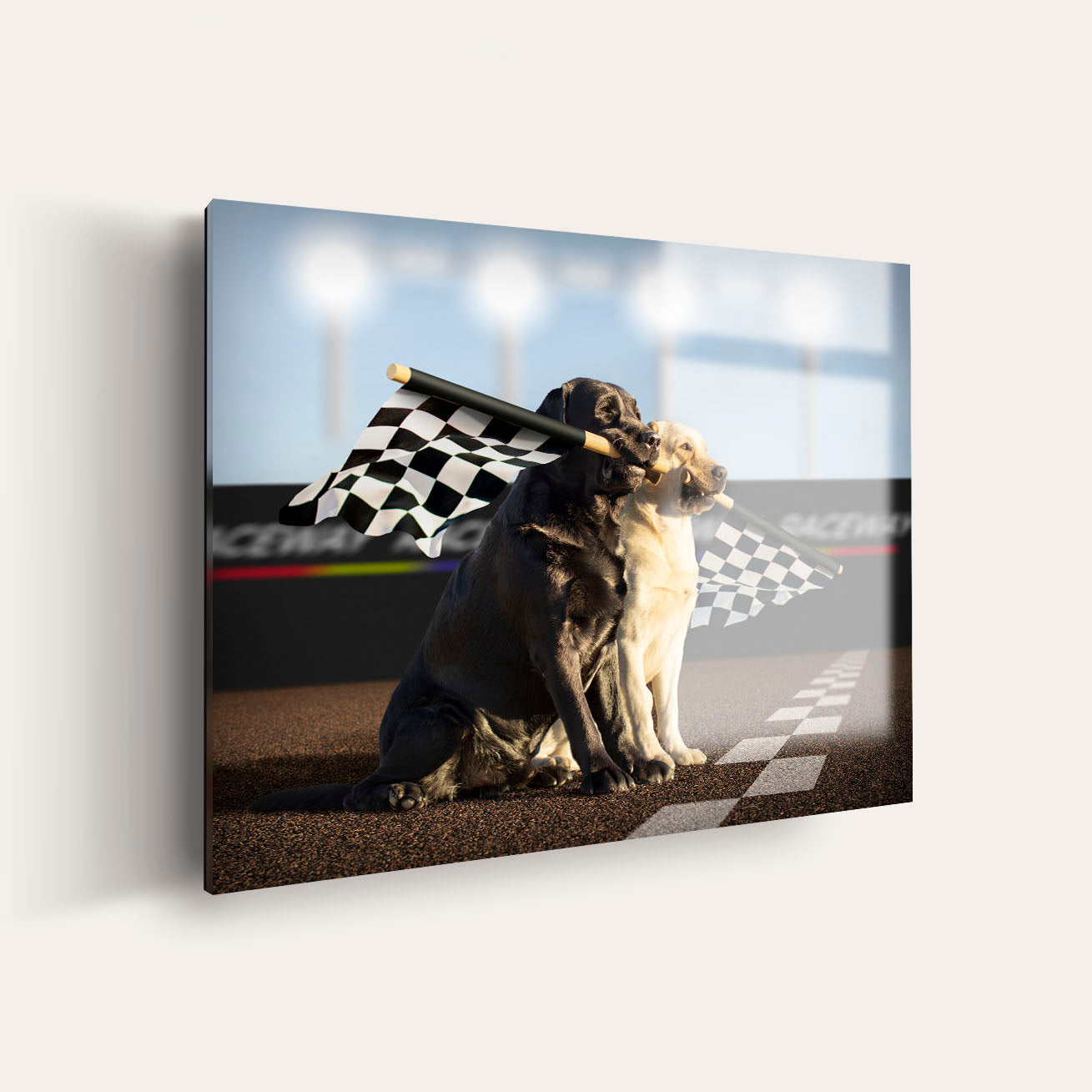 Rally - Lewie & Clark