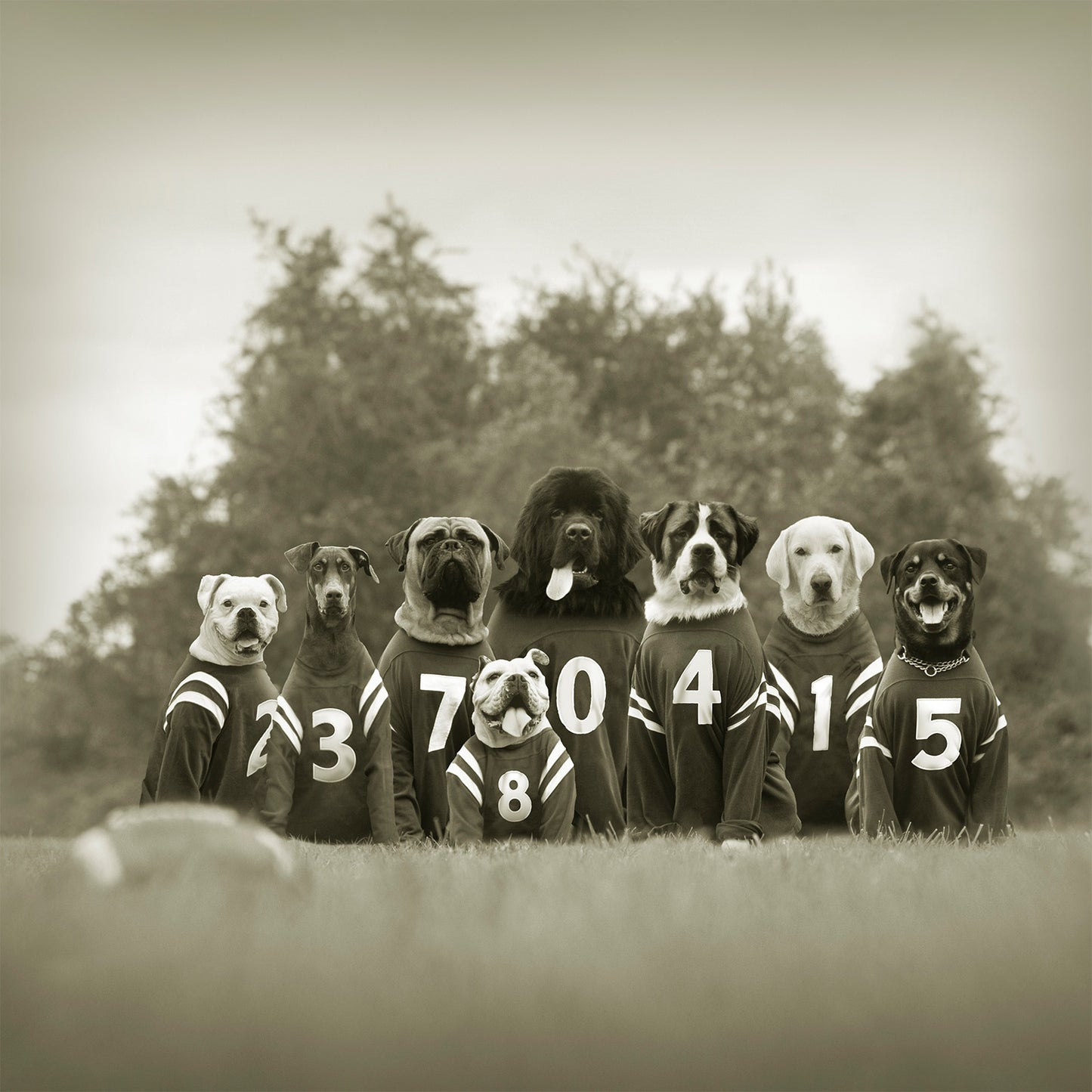 Bonecrushers