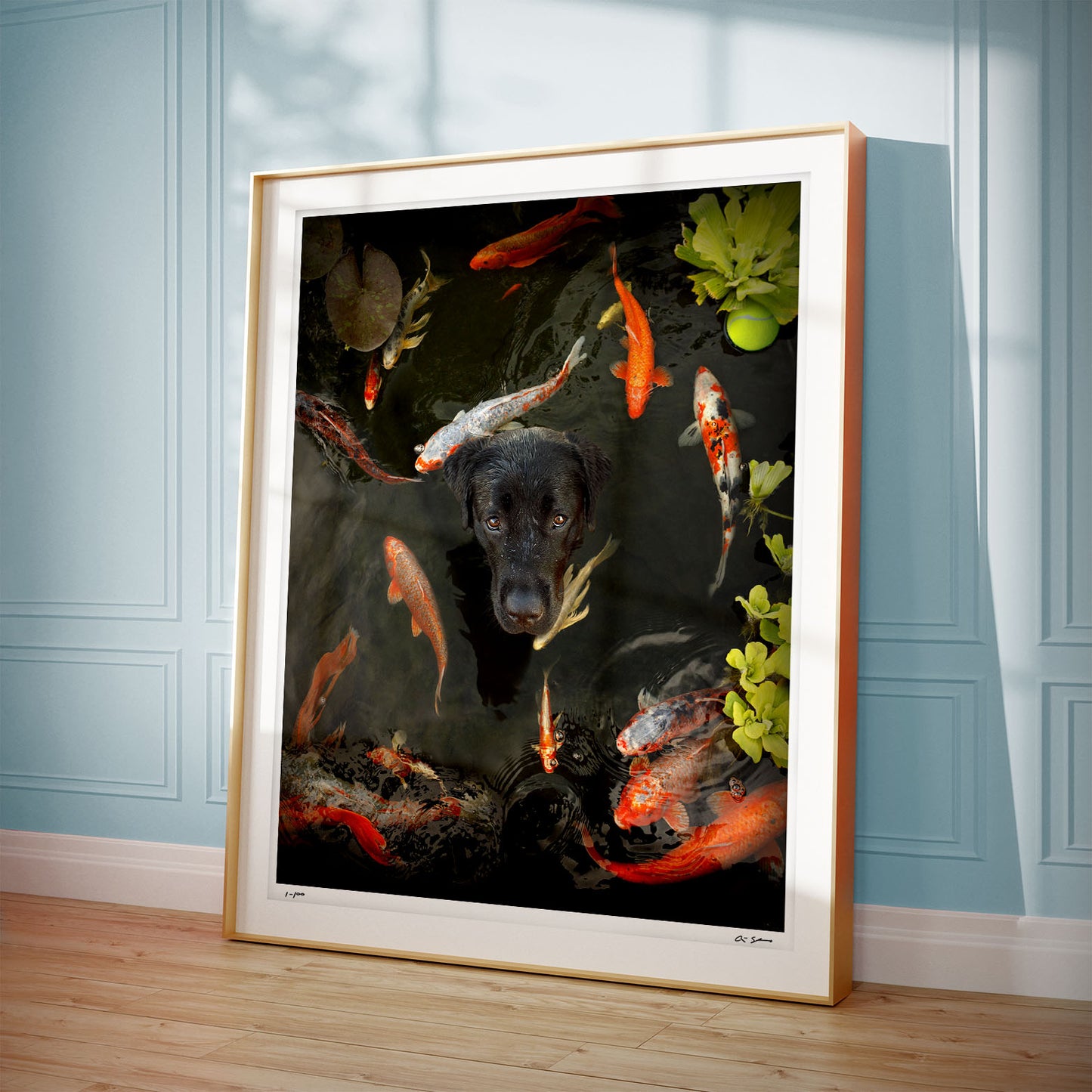 Koi