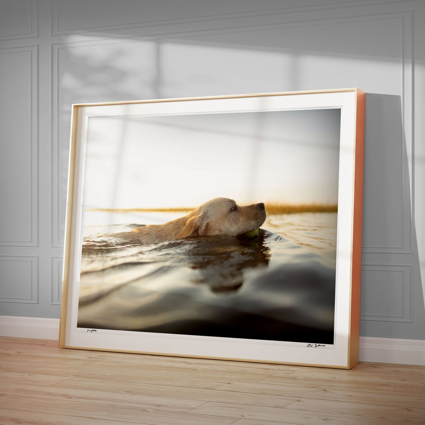 The Sea Dog