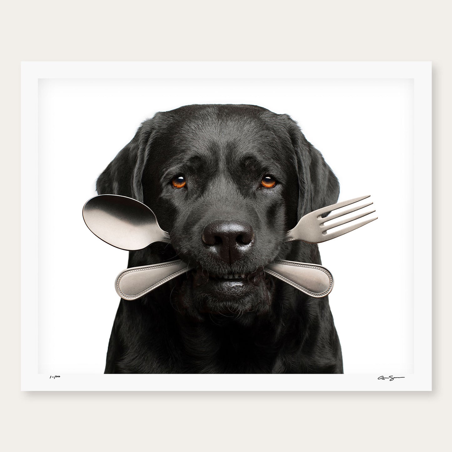 Bone Appetit
