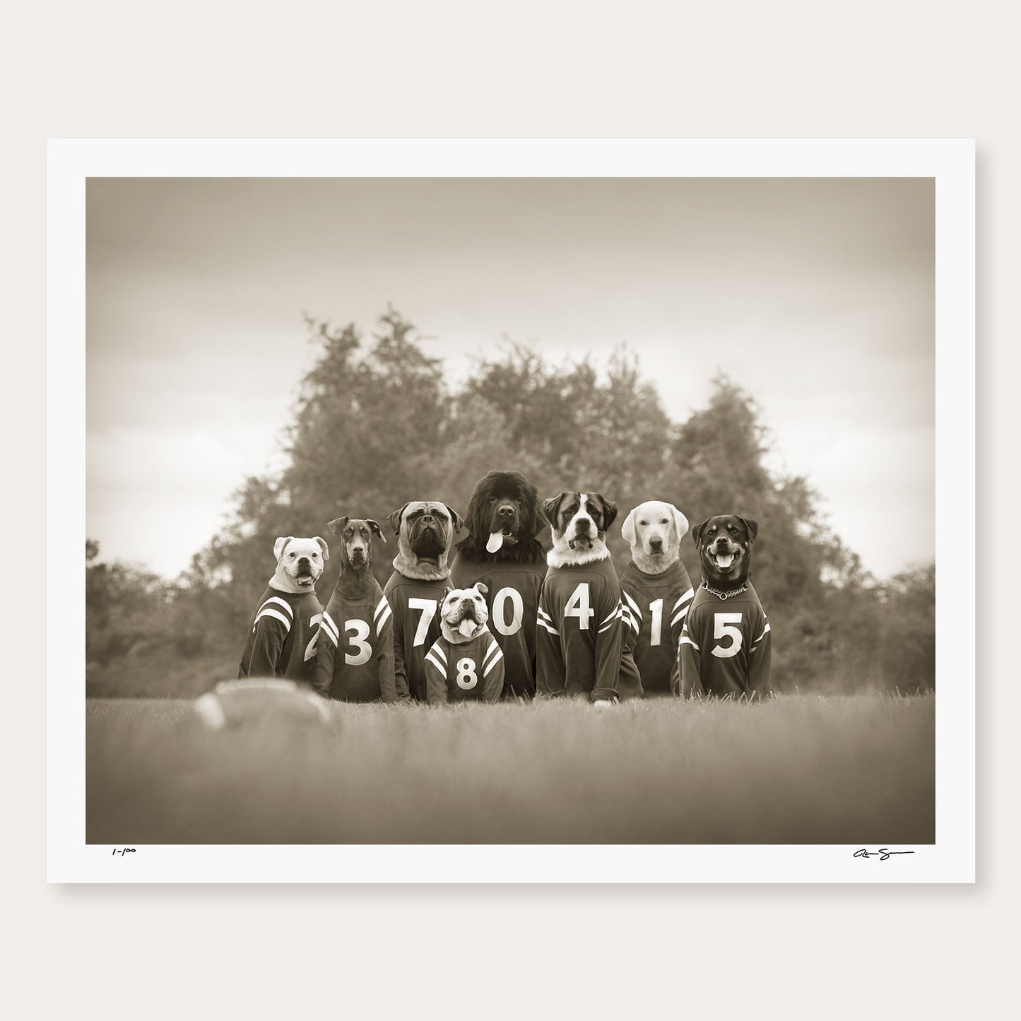 Bonecrushers