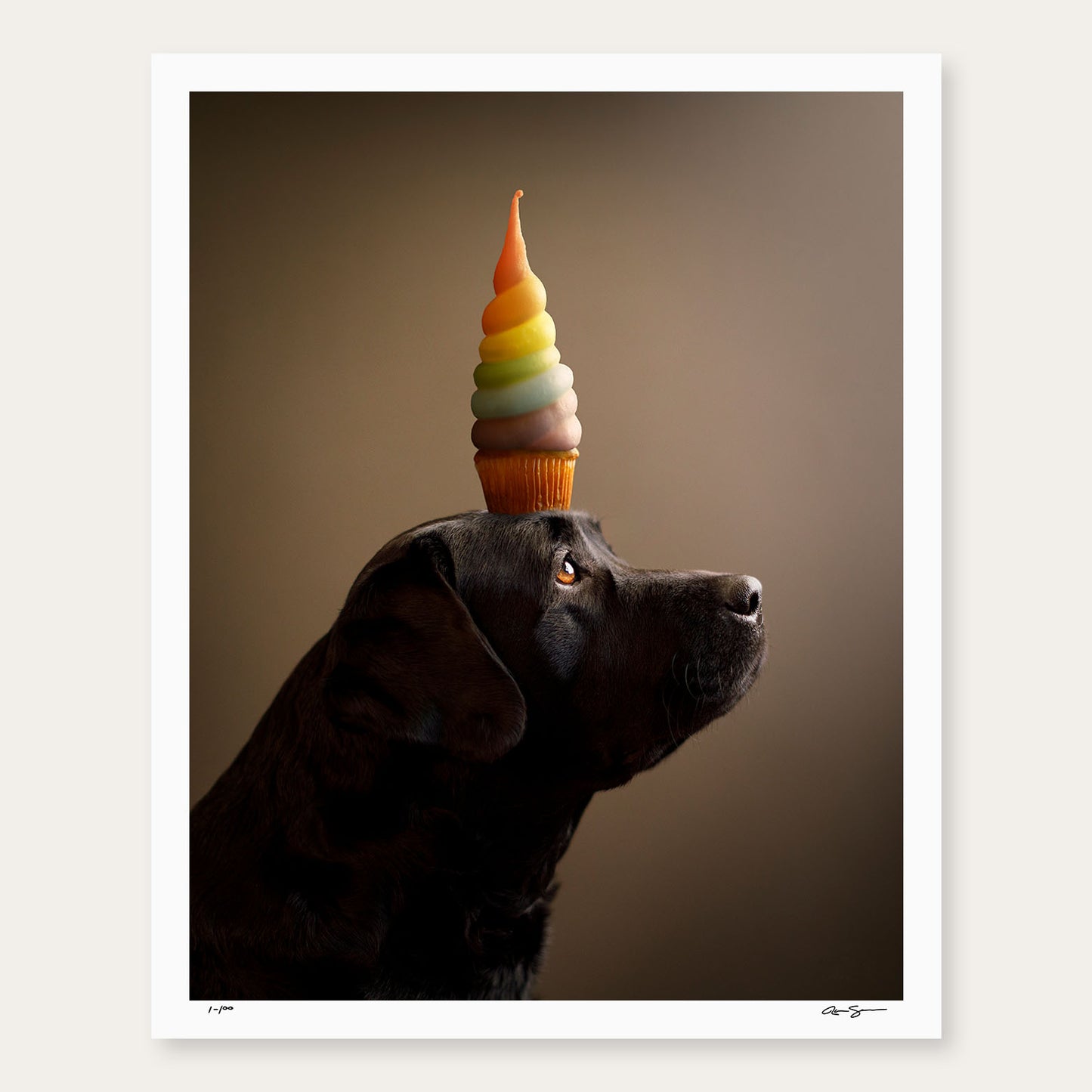 Labricorn - Black Labrador