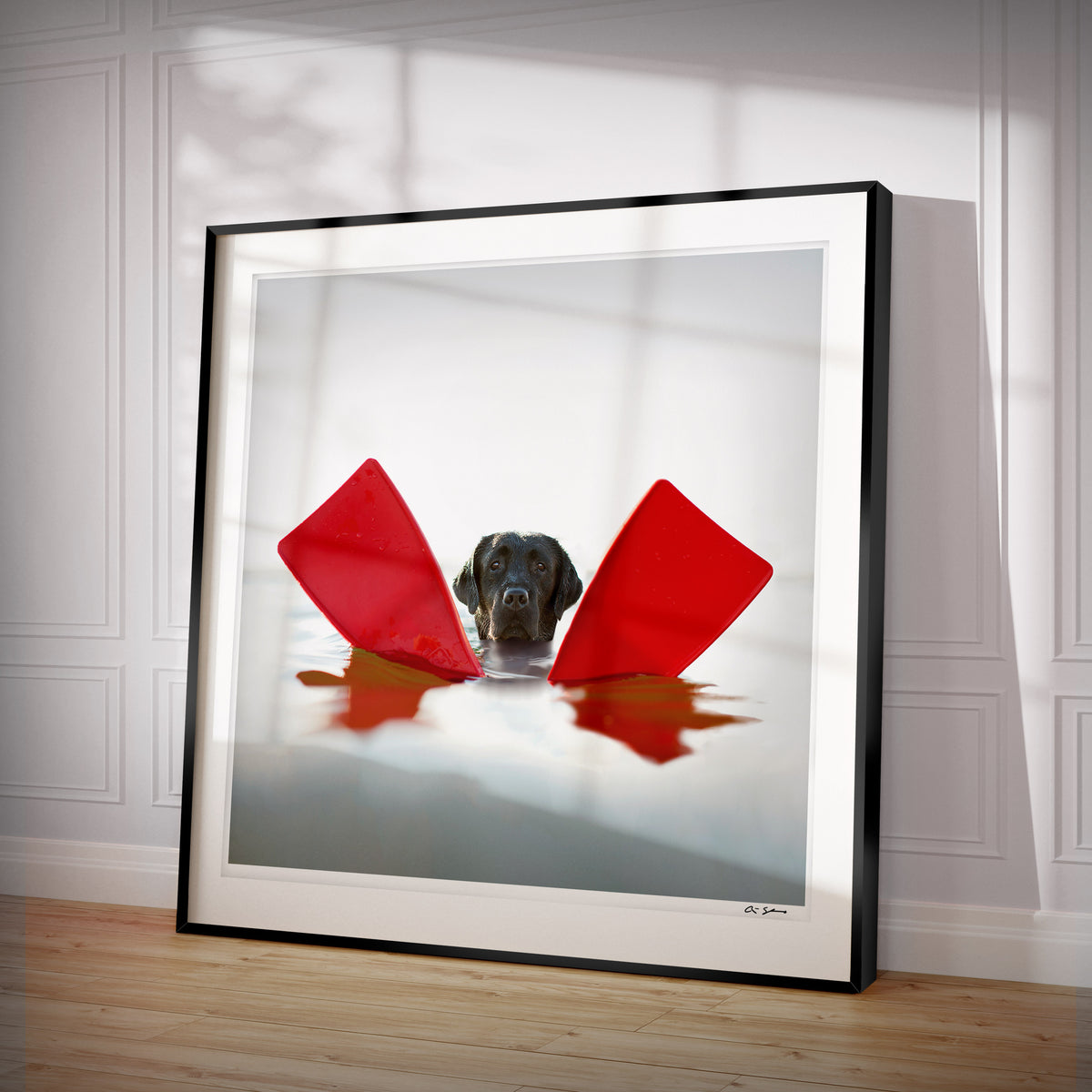 Salty - Black Labrador Art Print - Red Flipper Dog Summer 