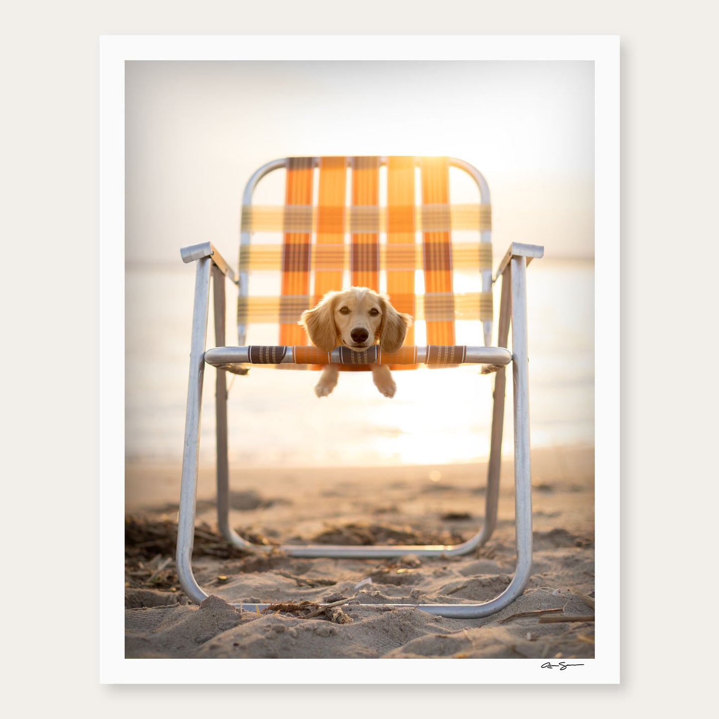 Siesta