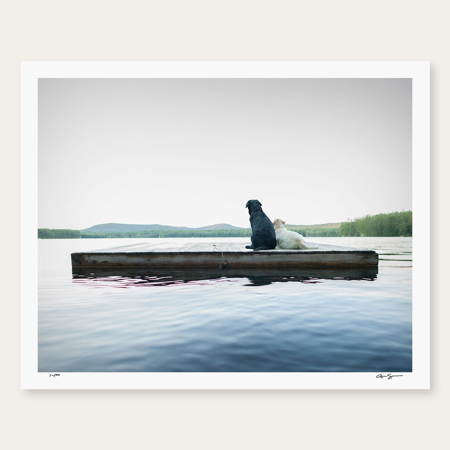A Black and a yellow dog on a dock on a lake art print by photographer Ron Schmidt www.ronschmidt.art Wall Home Decor , Lake House Artwork. Large Wall Art Print. Collectible, Signed Limited Edition, Gift for Dog Lover